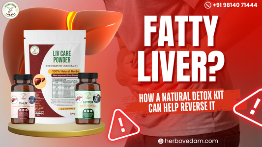 Fatty Liver? Here’s How a Natural Detox Kit Can Help Reverse It
