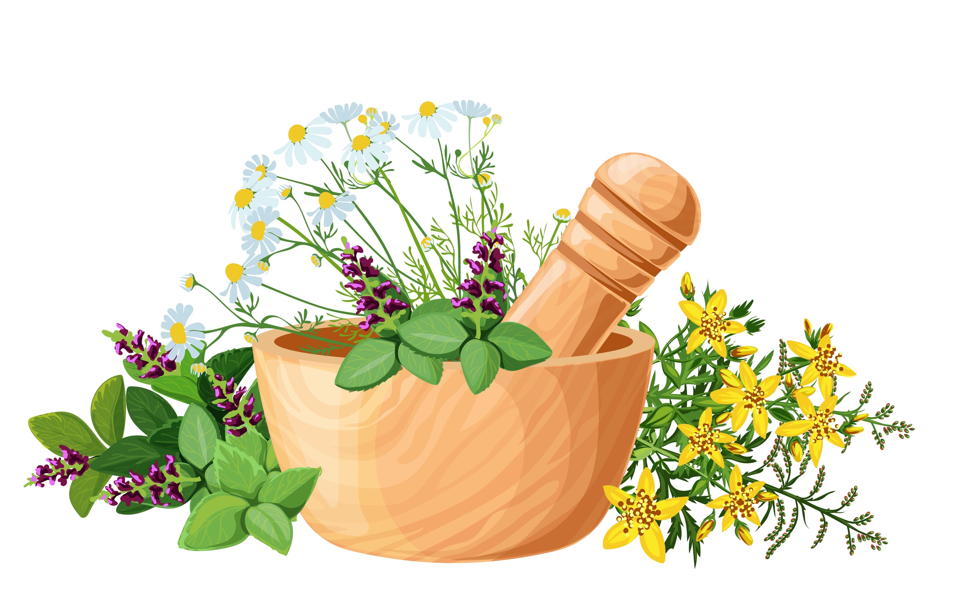 Mortar and pestle with herbs and flowers on a white background