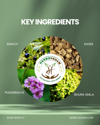 Liver Detox Kit – Supports Liver & Detoxification