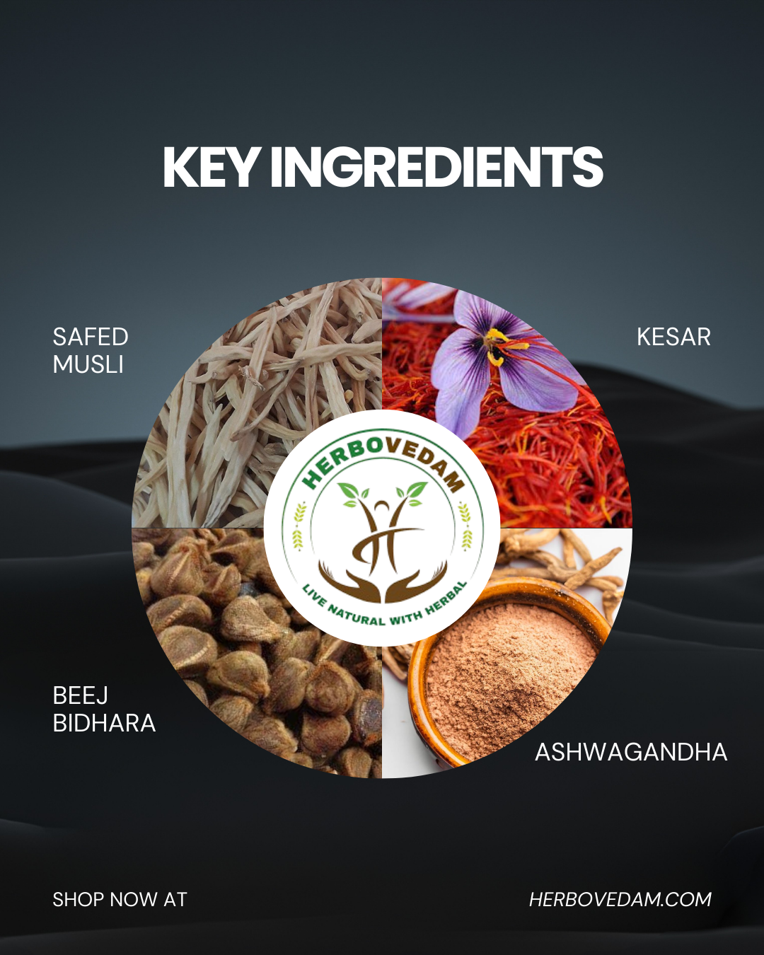 RAJA MAHARAJA KIT - Enhances Overall Well-Being and Supports Vitality.