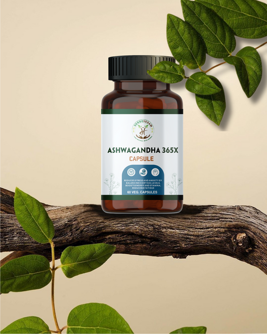 Herbovedam Ashwagandha 365X Capsules