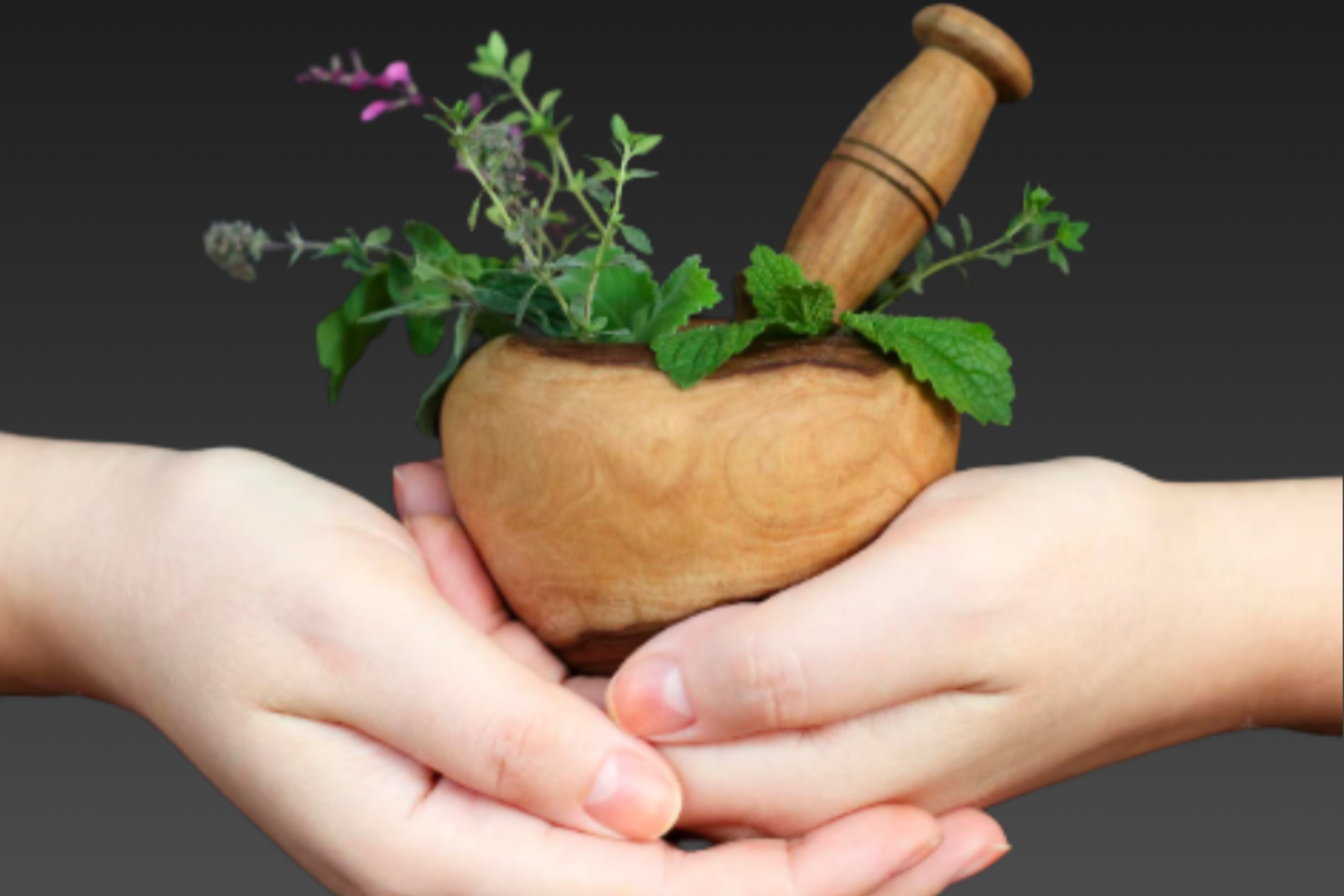 Two hands holding a wooden mortar with herbs against a dark background