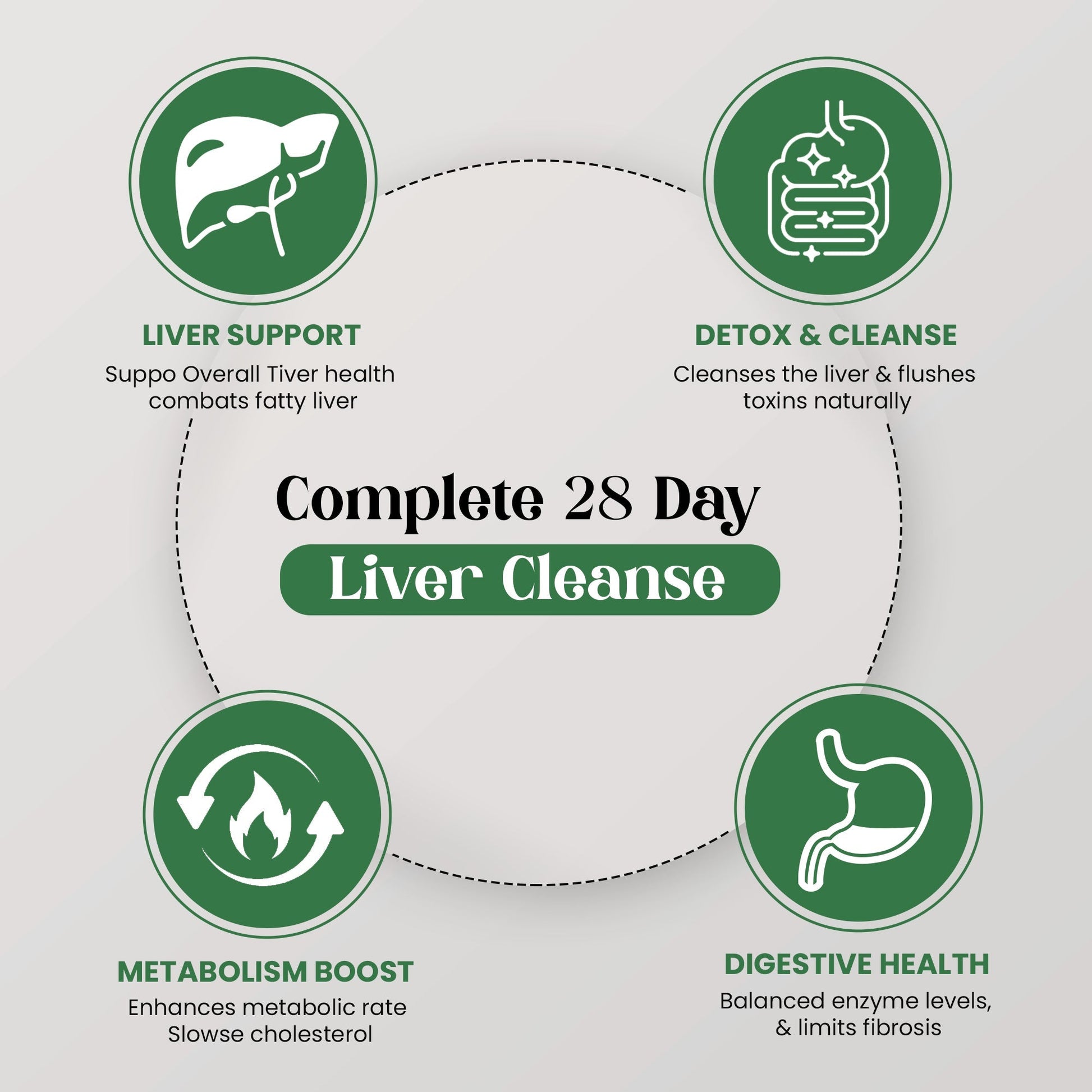 Herbovedam Liver Kit with Levtox capsules, Timliv capsules, and Liver Powder, featuring benefits like immune support, improved liver function, reduced inflammation, and better bile circulation,